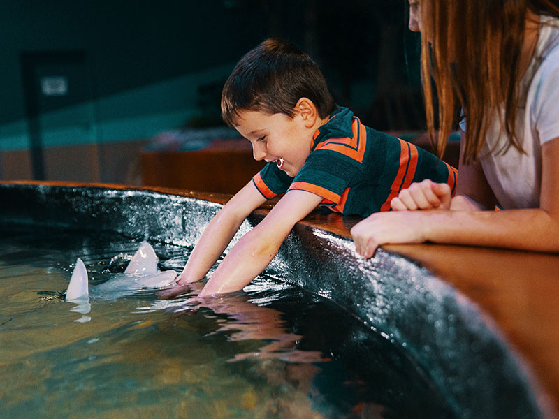 Living-Shores-Aquarium