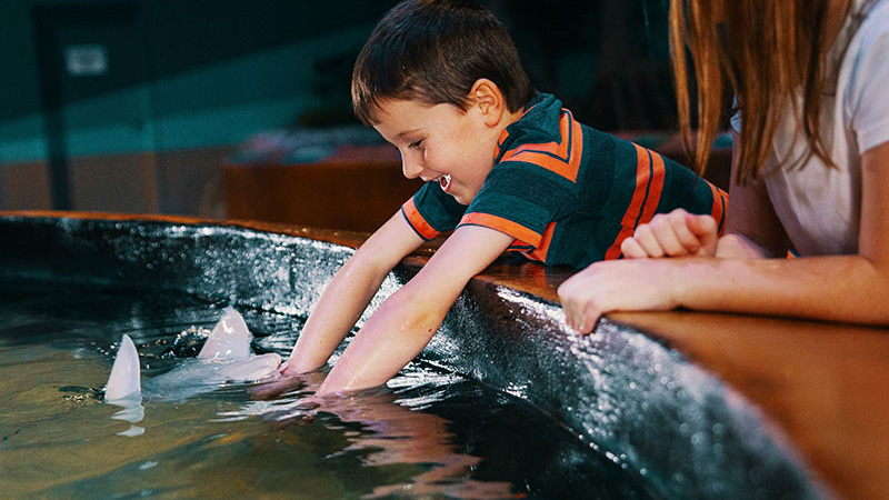 Child with stingray